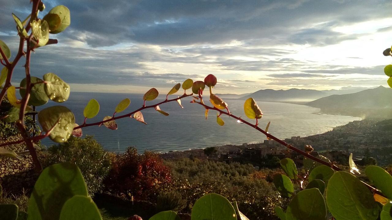 Hotel La Rosa Dei Venti Finale Ligure Esterno foto